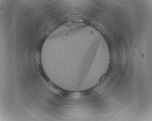 X0000077350083200611171909