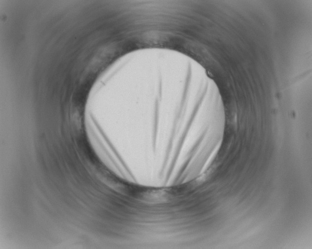 X0000077350086200611171909