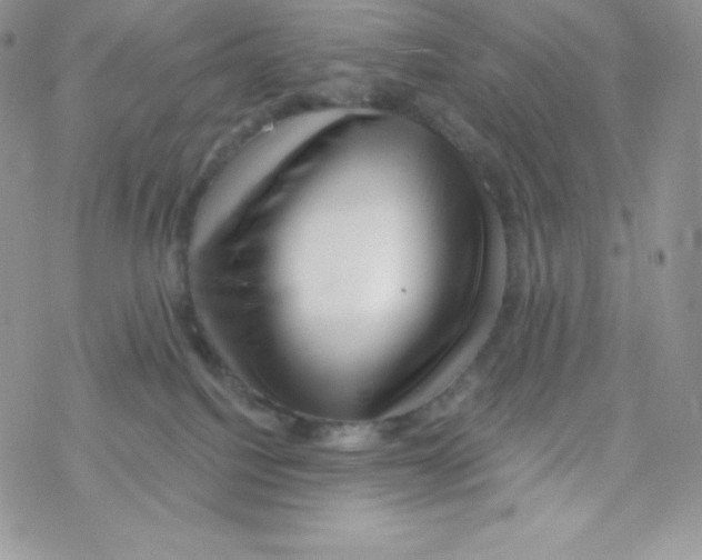 X0000077350088200611171909