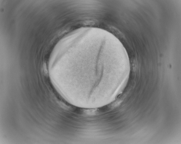 X0000077350089200611171909