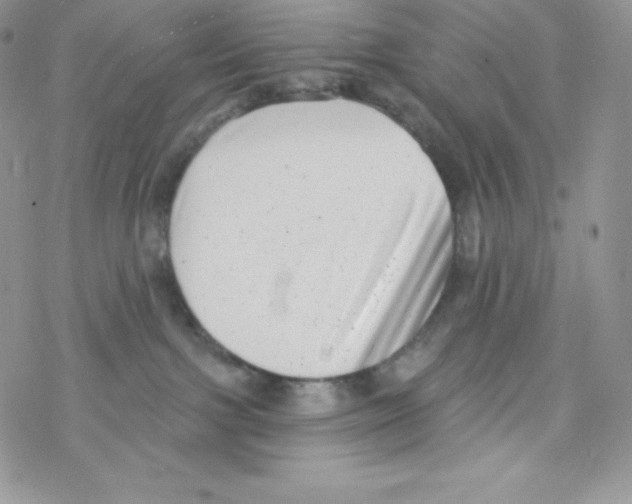 X0000077350091200611171909