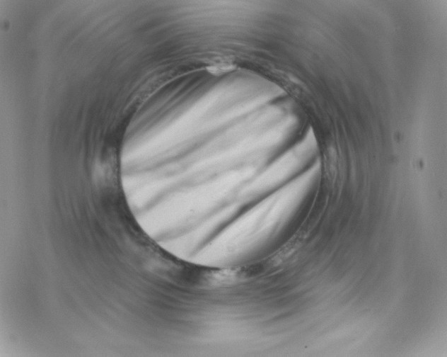 X0000077350092200611171909