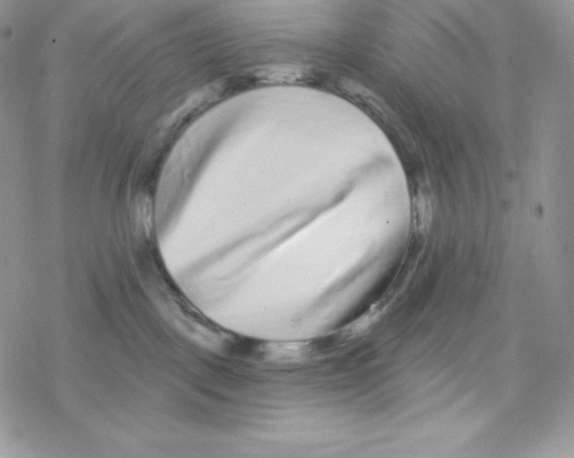 X0000077350093200611171909