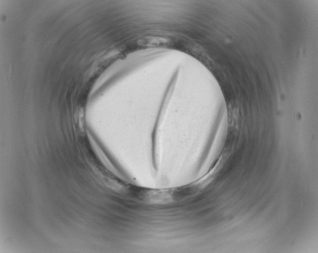 X0000077350094200611171909