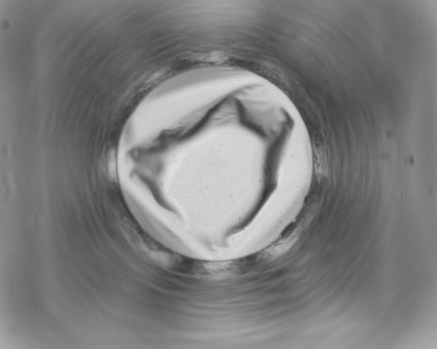 X0000077350095200611171909