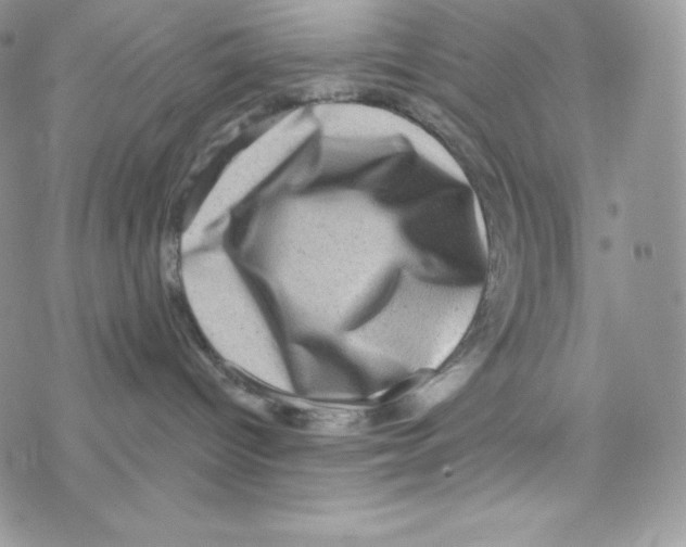 X0000077350096200611171909