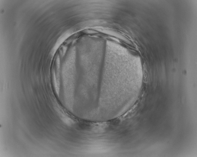 X0000077350099200611171908