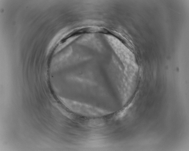 X0000077350101200611171908