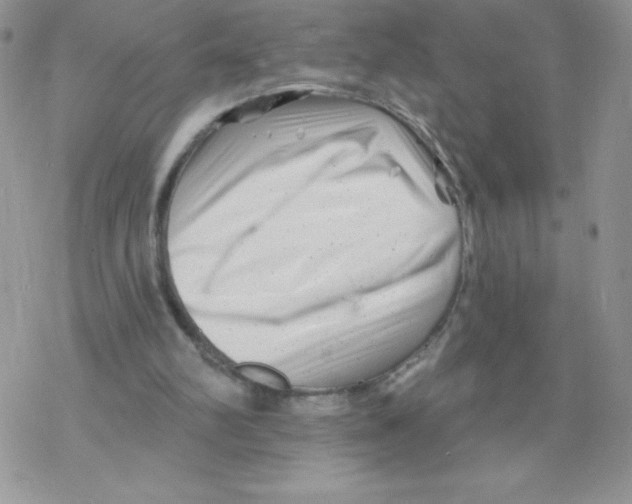 X0000077350102200611171908