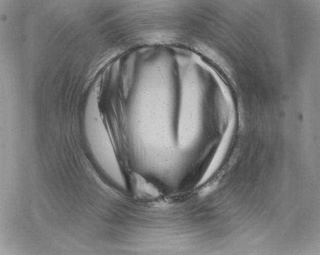 X0000077350105200611171908