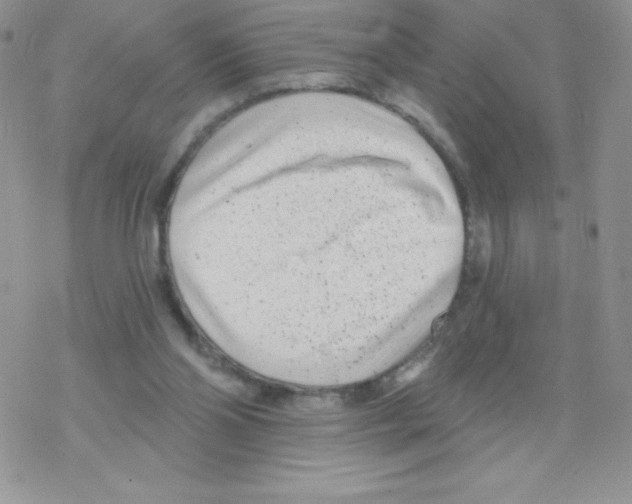 X0000077350110200611171908