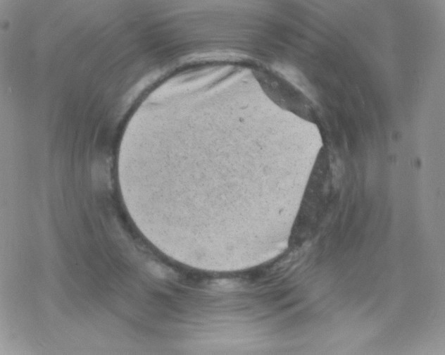 X0000077350111200611171908