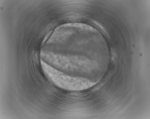 X0000077350121200611171908