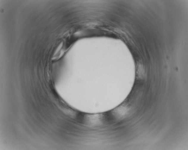 X0000077350131200611171908