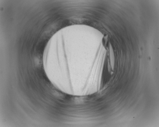 X0000077350134200611171907