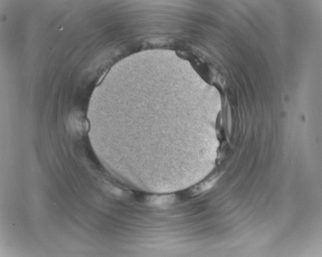 X0000077350135200611171907