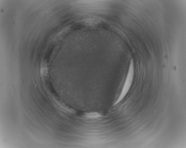 X0000077350137200611171907