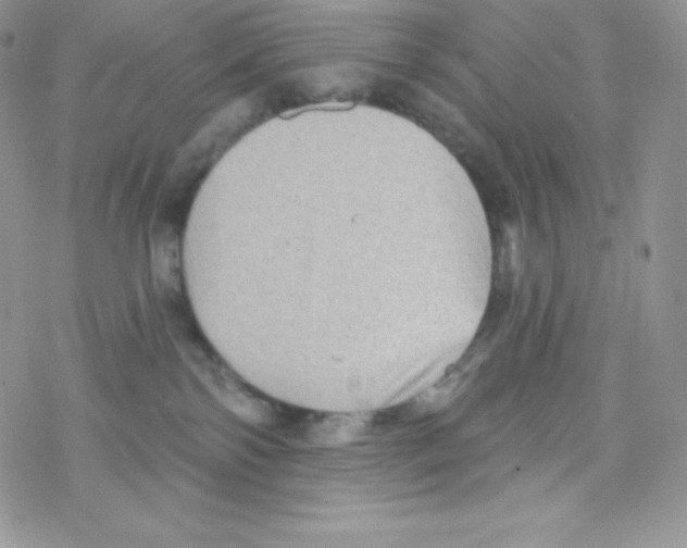 X0000077350138200611171907