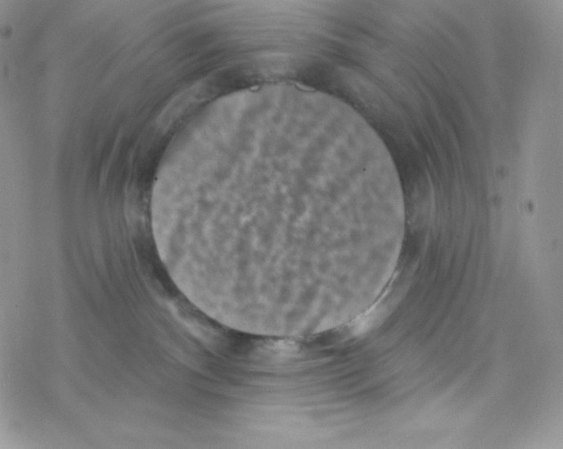 X0000077350140200611171907