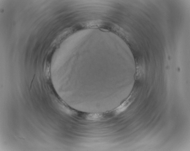 X0000077350142200611171907