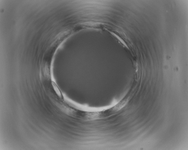 X0000077350143200611171907