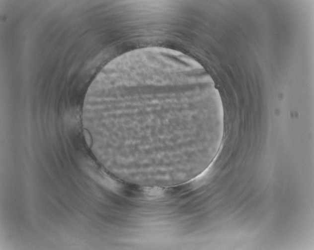 X0000077350144200611171907