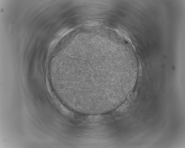 X0000077350145200611171907