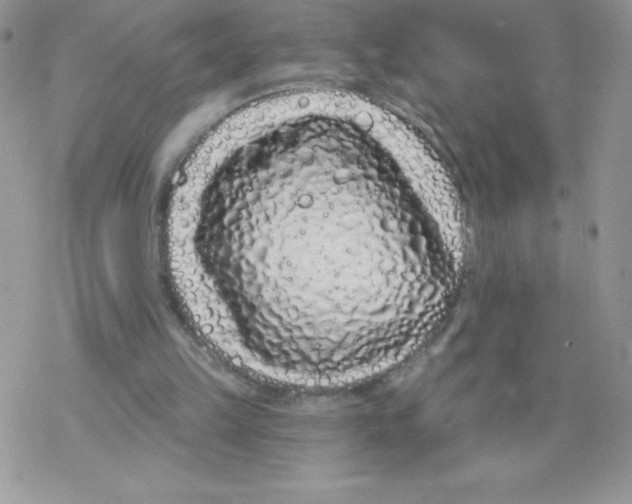 X0000077350149200611171907