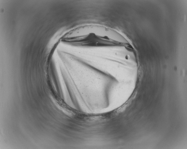 X0000077350151200611171907