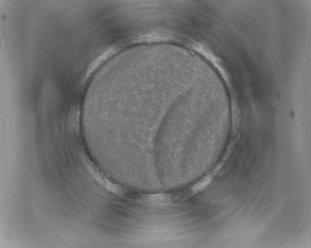 X0000077350153200611171907