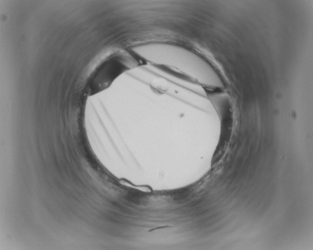 X0000077350154200611171907