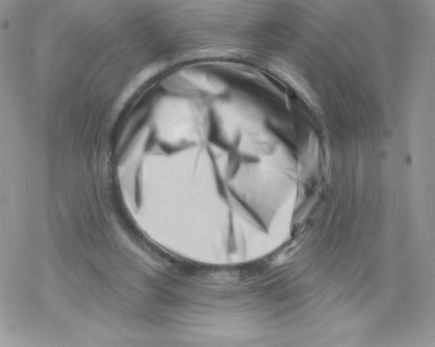 X0000077350156200611171907