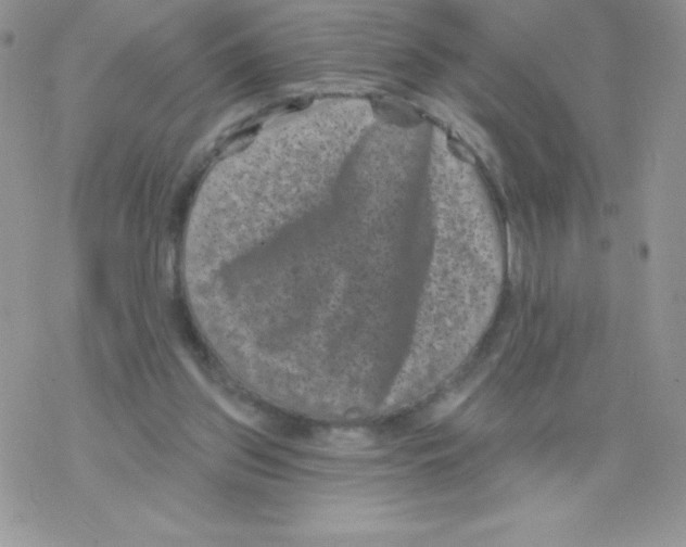 X0000077350157200611171907