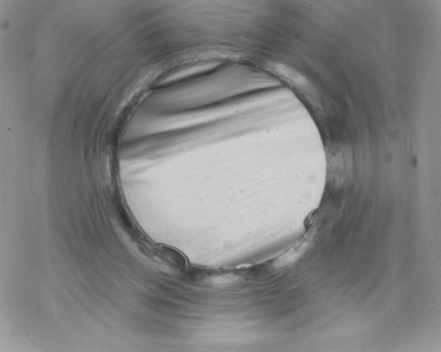 X0000077350158200611171907