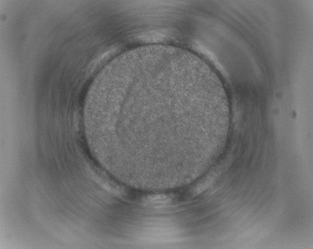 X0000077350161200611171907