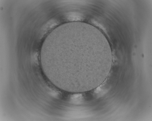 X0000077350162200611171907