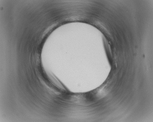 X0000077350164200611171907