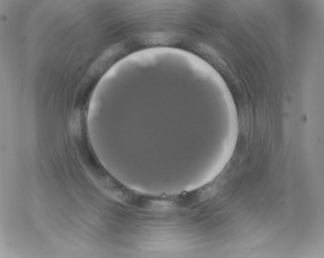 X0000077350167200611171907