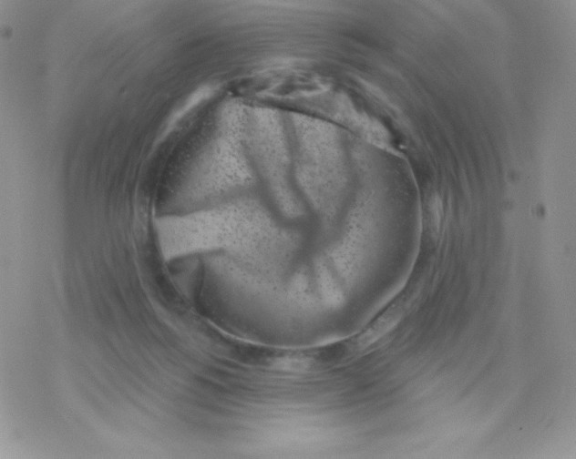 X0000077350168200611171907