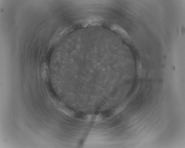 X0000077350169200611171907