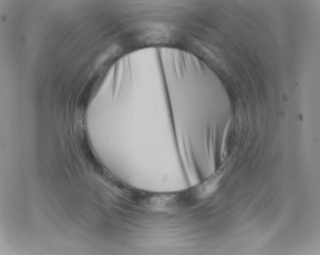 X0000077350172200611171907