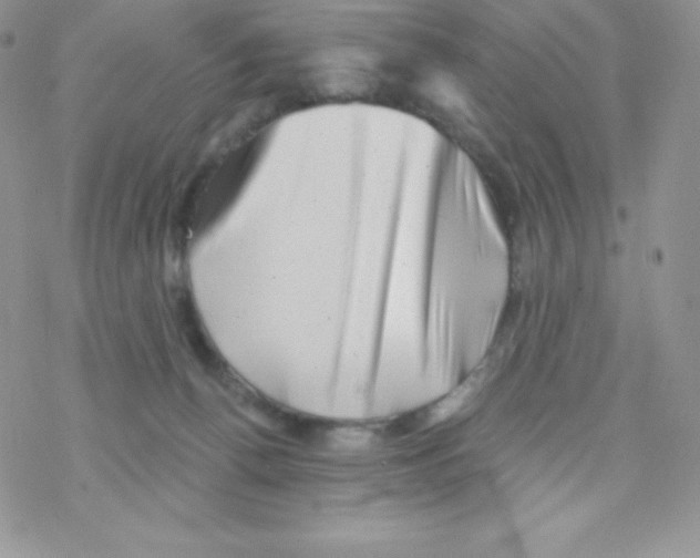 X0000077350176200611171907