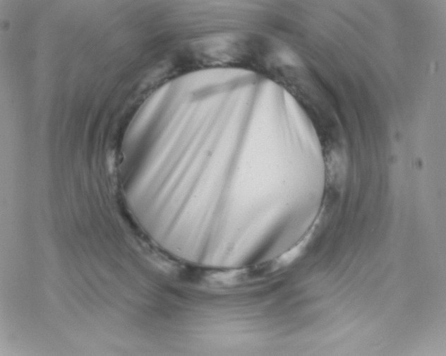 X0000077350178200611171907