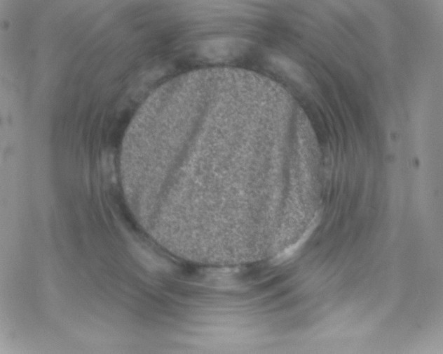 X0000077350182200611171907