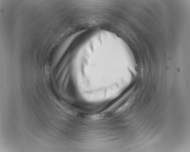 X0000077350184200611171907