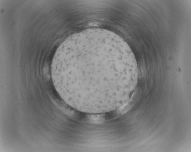 X0000077350187200611171907