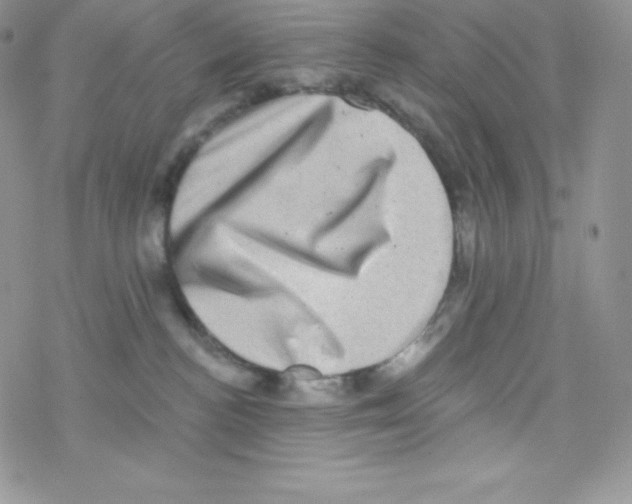 X0000077350188200611171907