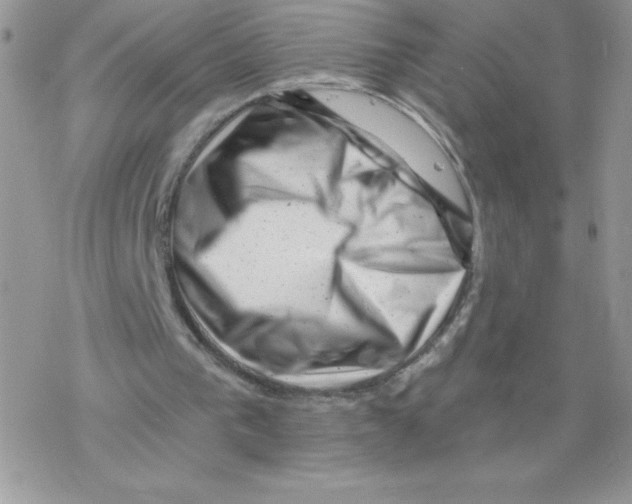 X0000077350193200611171906