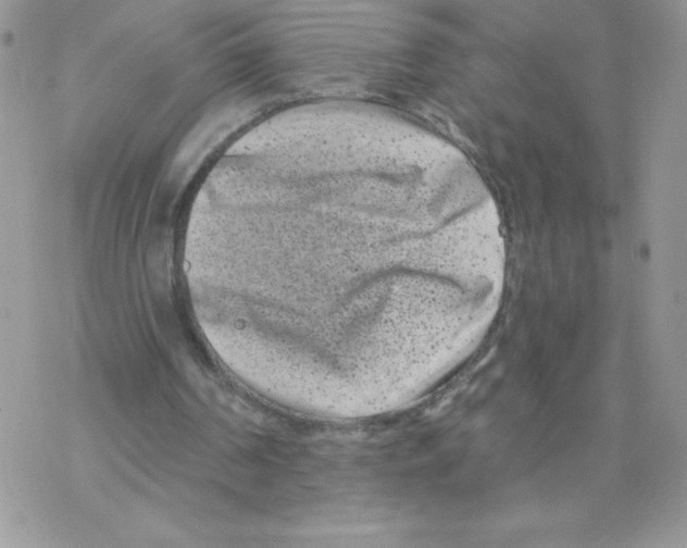 X0000077350194200611171906