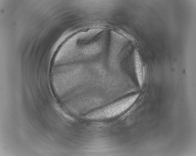 X0000077350195200611171906